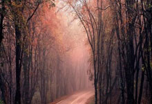 开云体育登录-奥地利乒乓球队爆冷韩国乒乓球队，樊振东爆发神勇