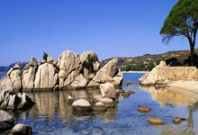 开云体育直播-中国乒乓球队鏖战波兰乒乓球队，马龙高光表现